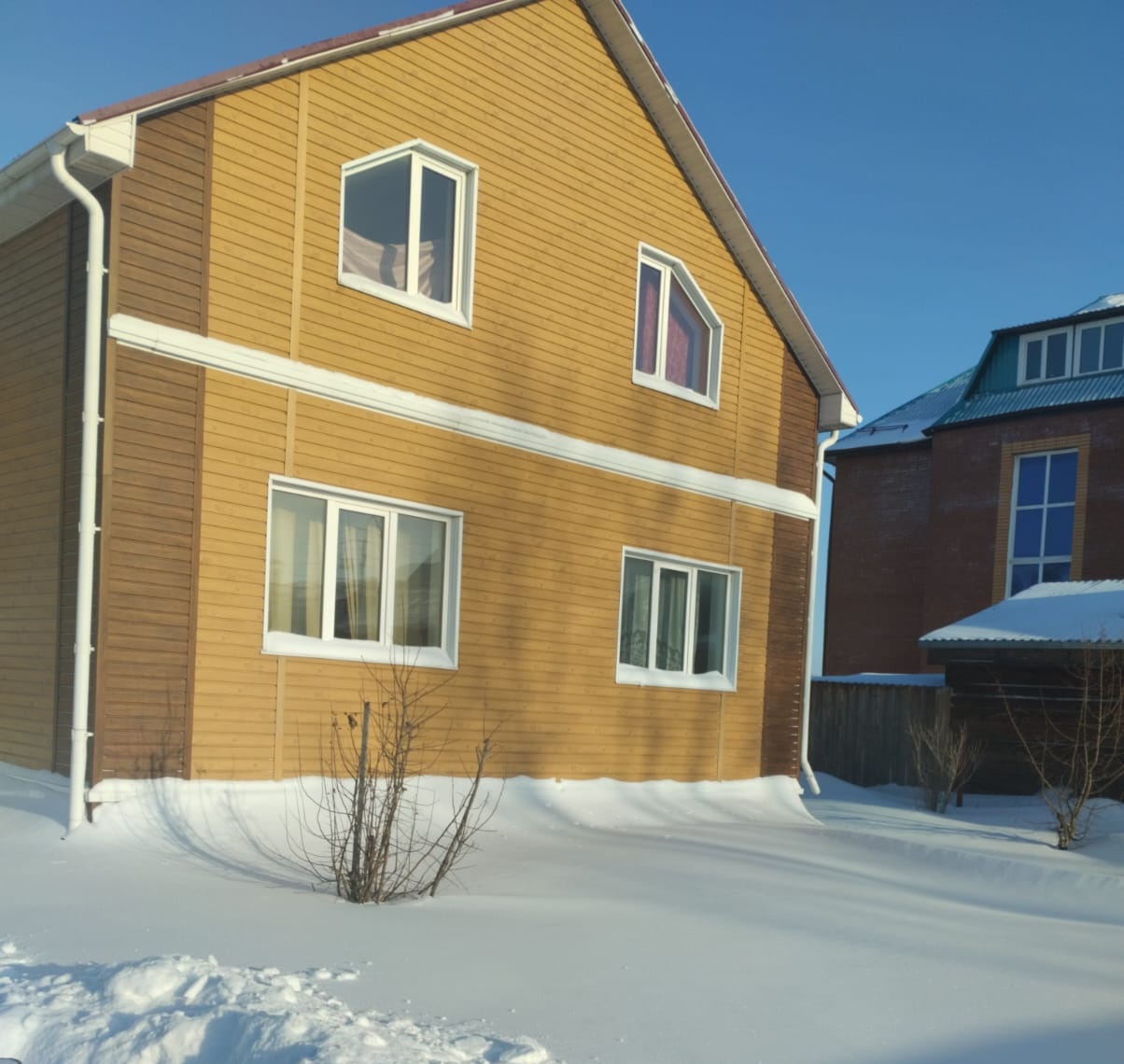 Выбранное изображение