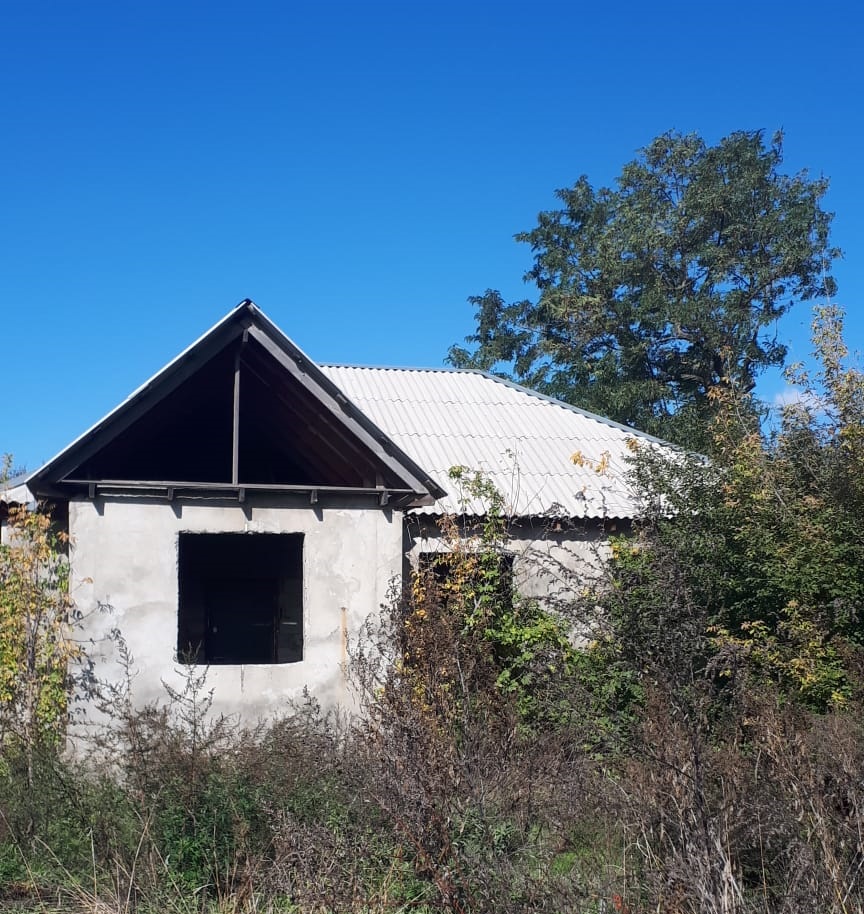 Выбранное изображение