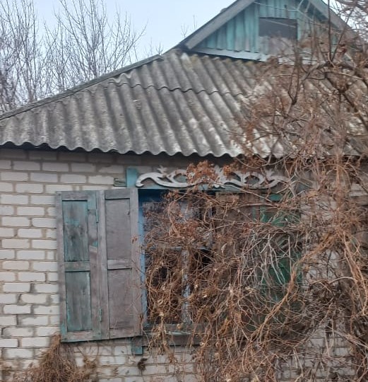 Выбранное изображение