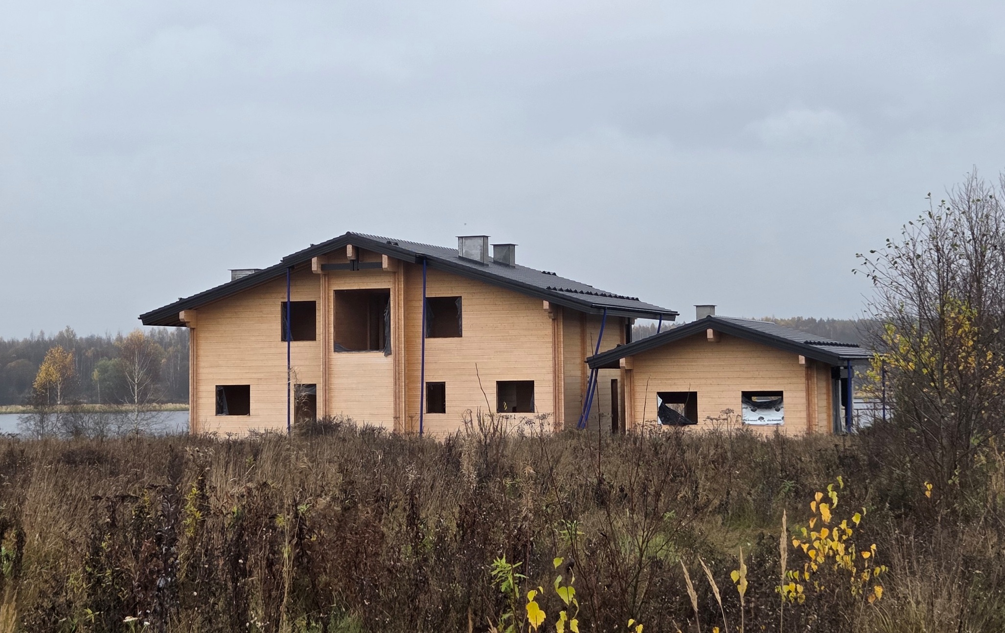 Выбранное изображение