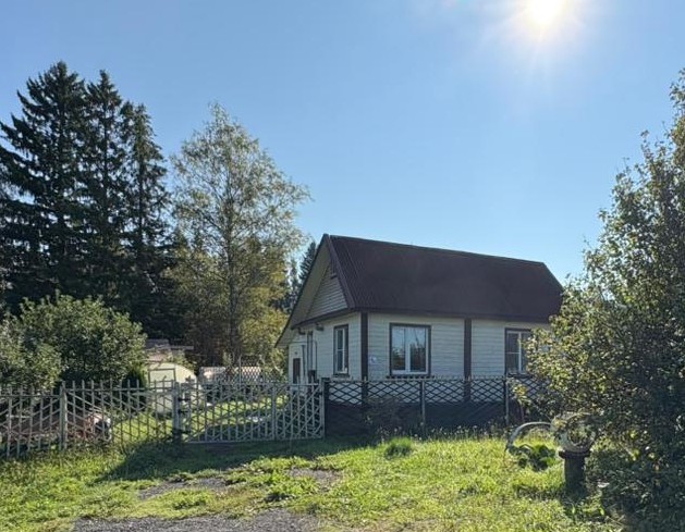 Выбранное изображение