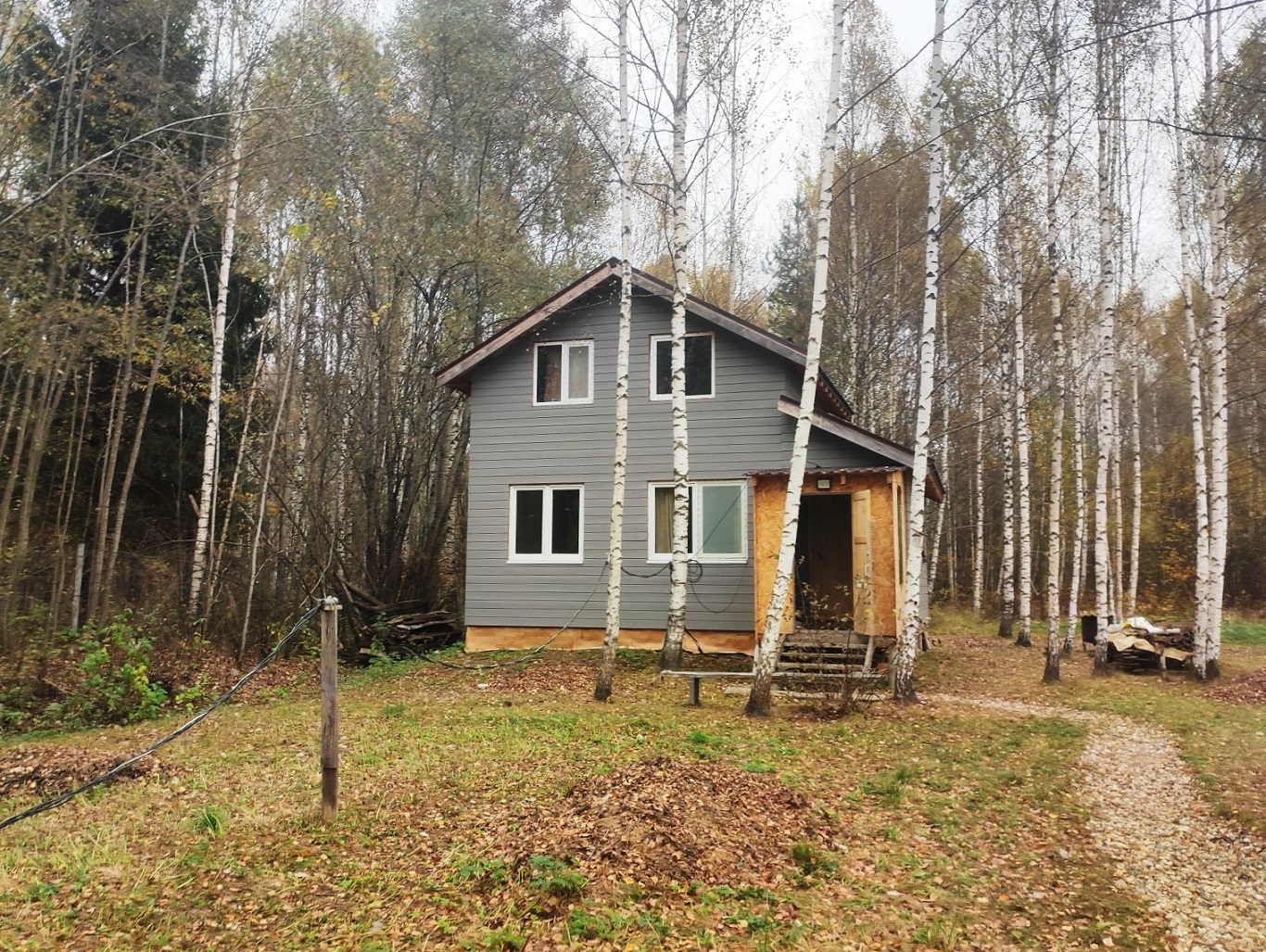 Выбранное изображение