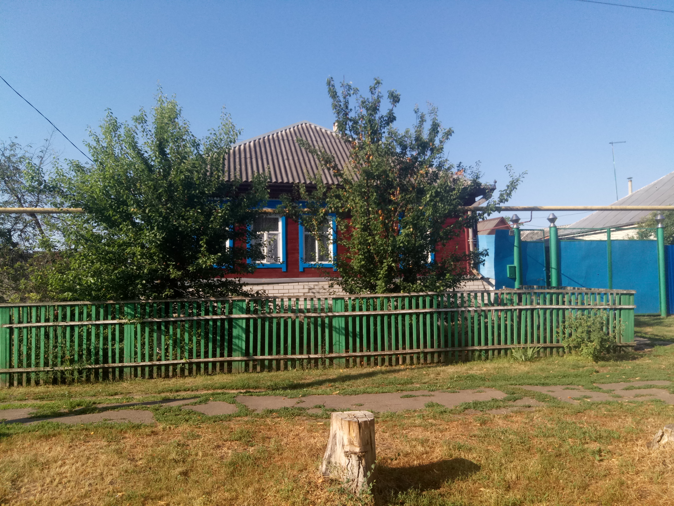 Выбранное изображение