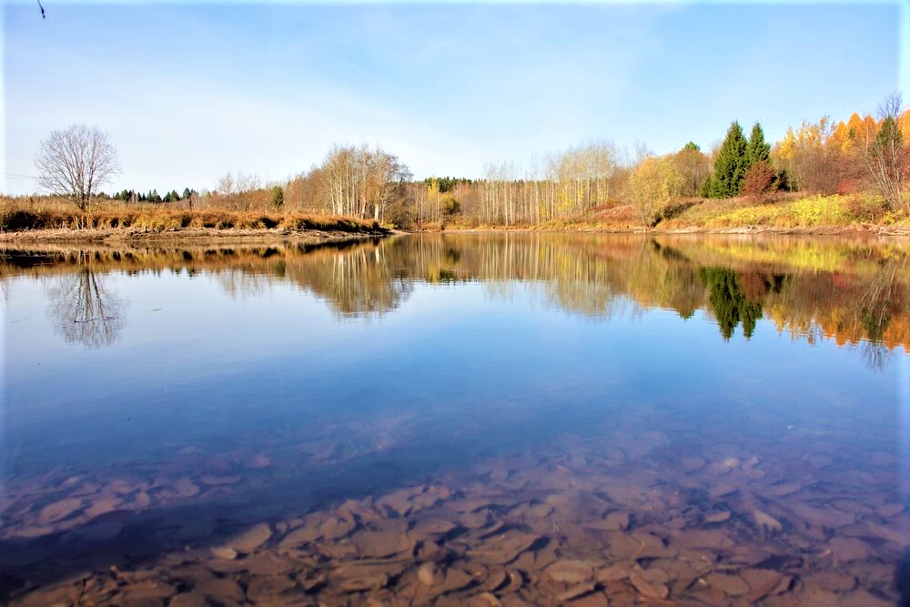 Изображение из списка