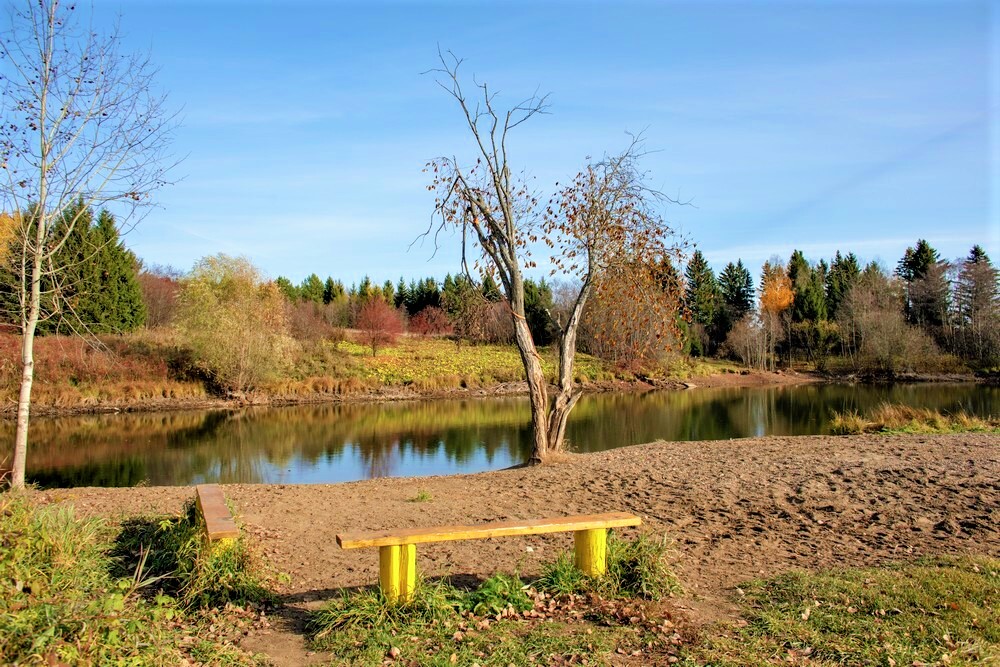 Изображение из списка