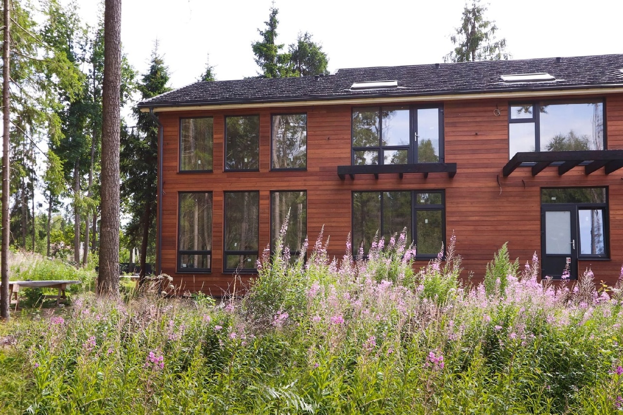 Покраска домов 