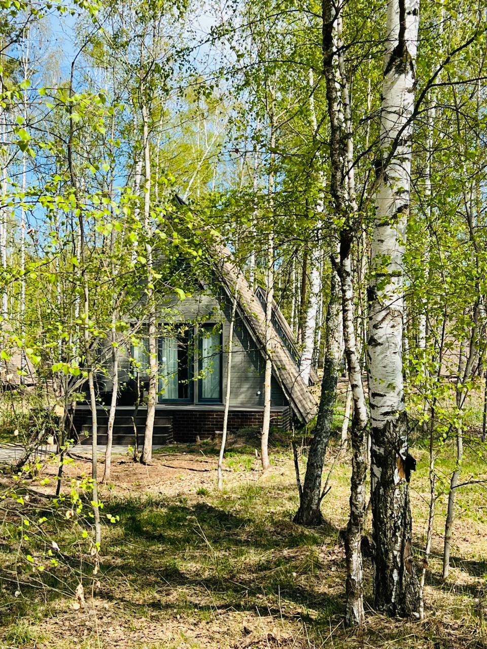 Проект Матисс-3, изображение-3 Проект Матисс-3, изображение-3