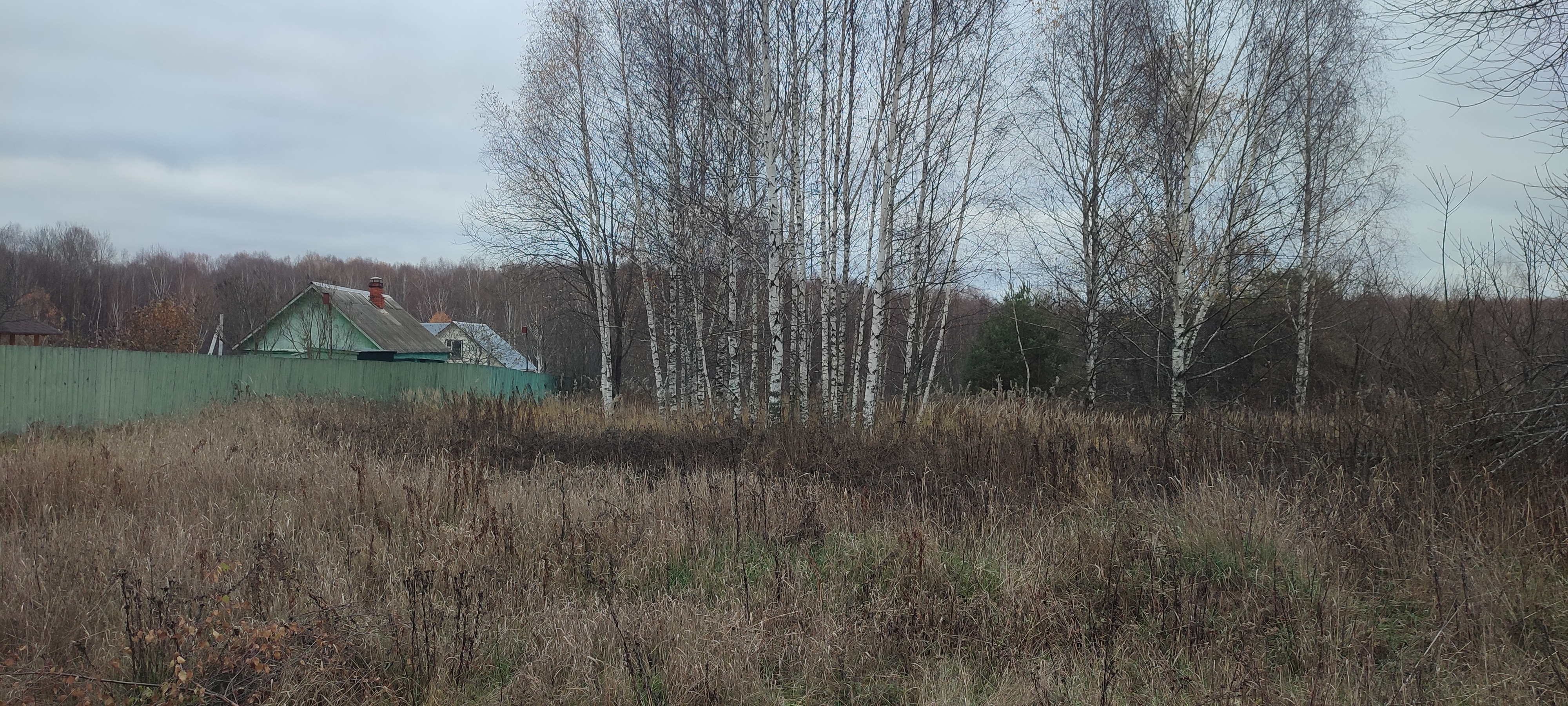 Изображение из списка