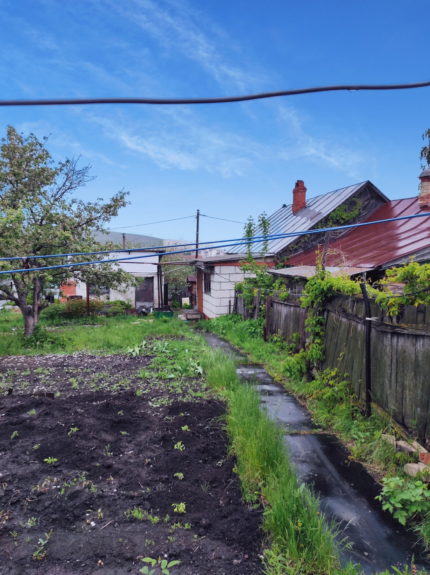 Изображение из списка