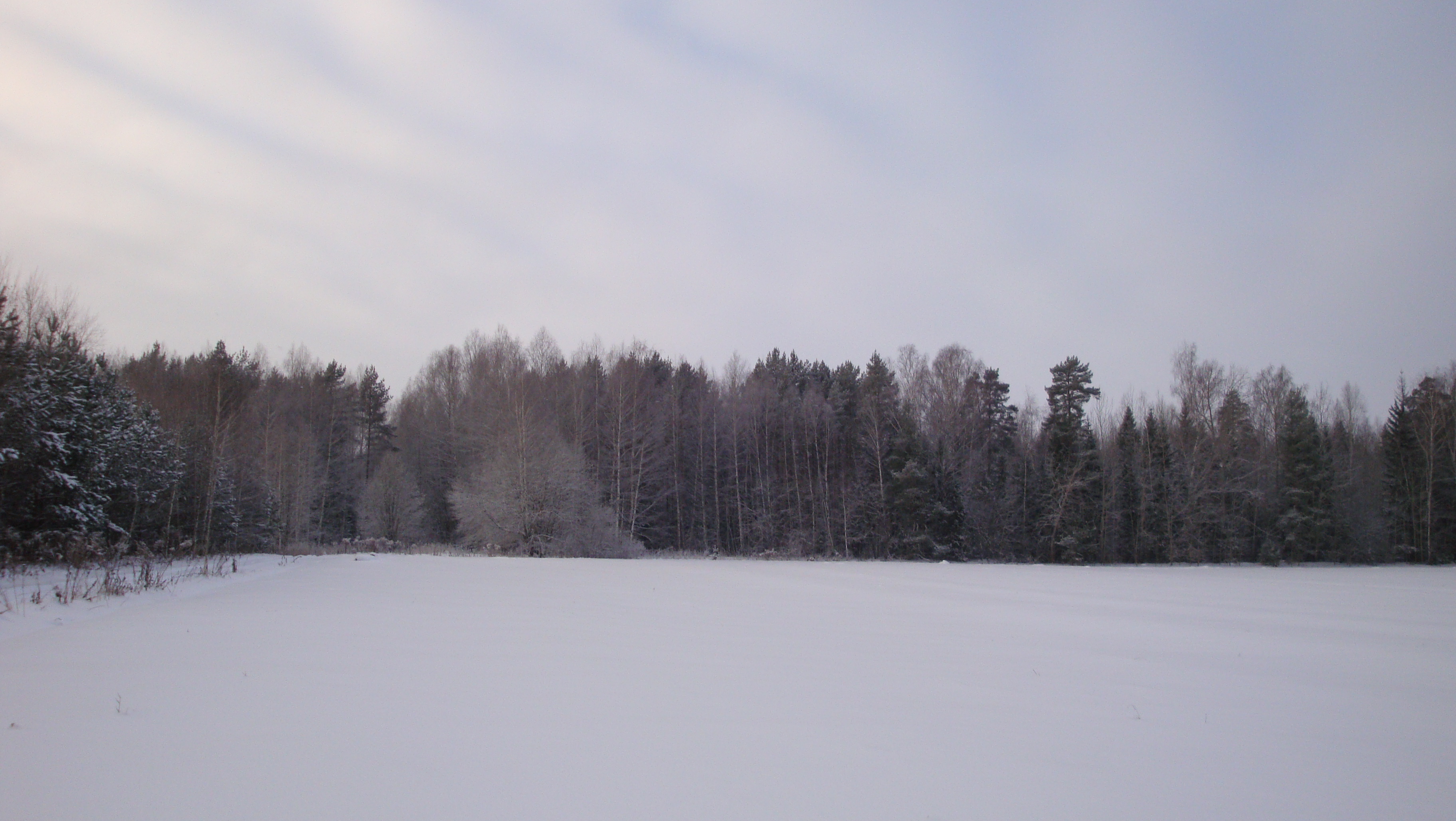Изображение из списка