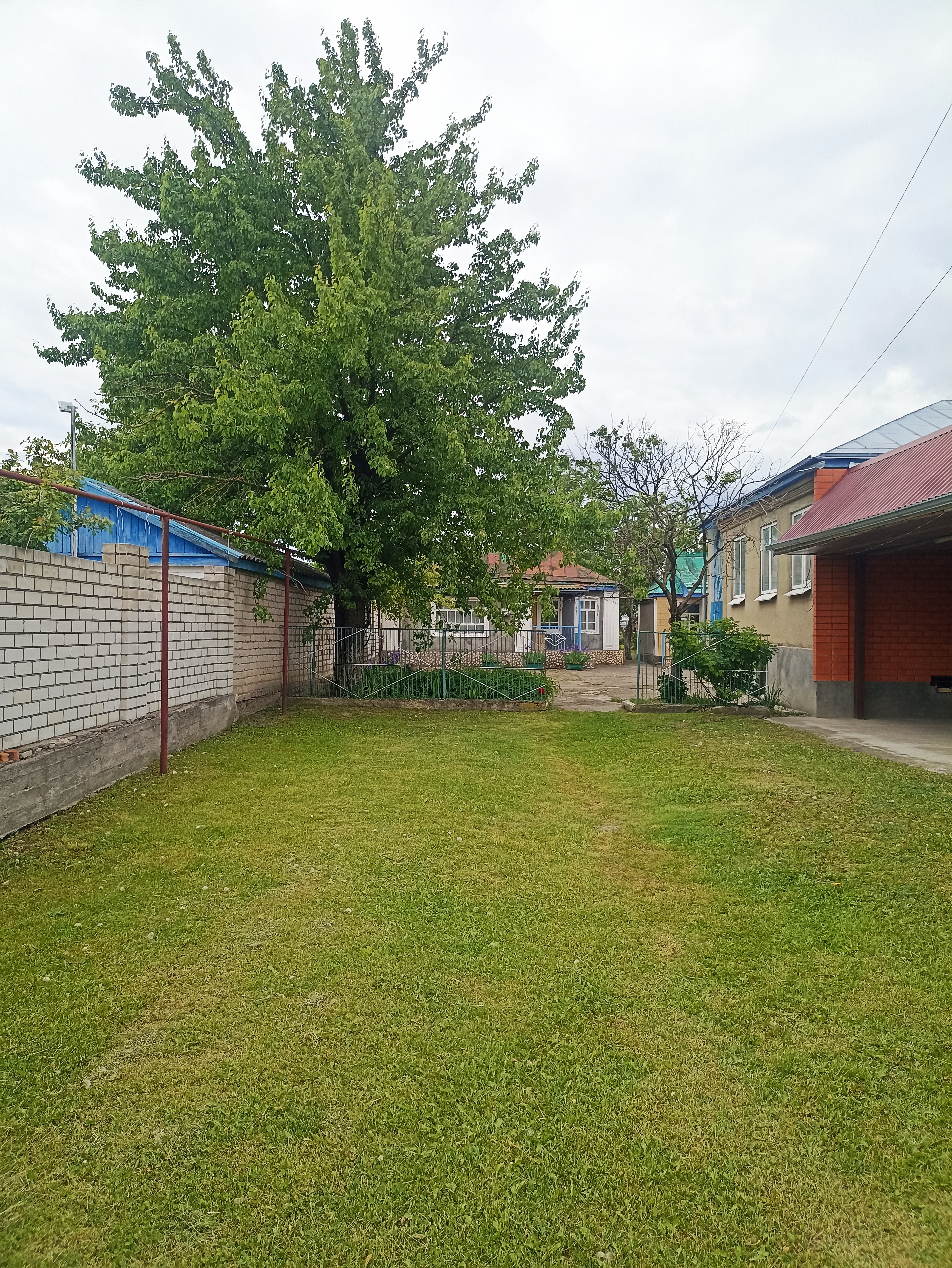 Изображение из списка