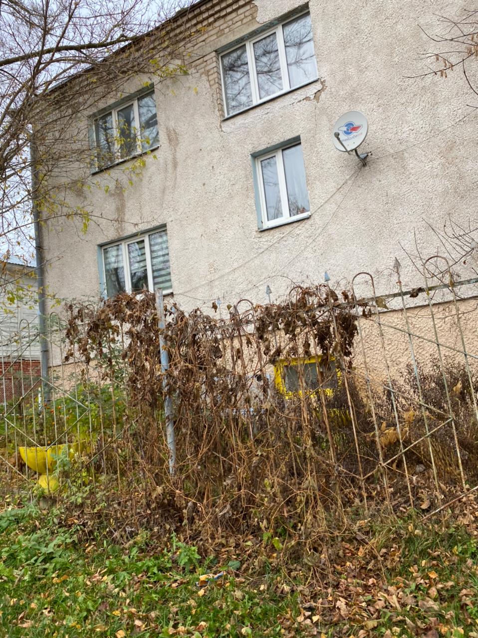 Изображение из списка