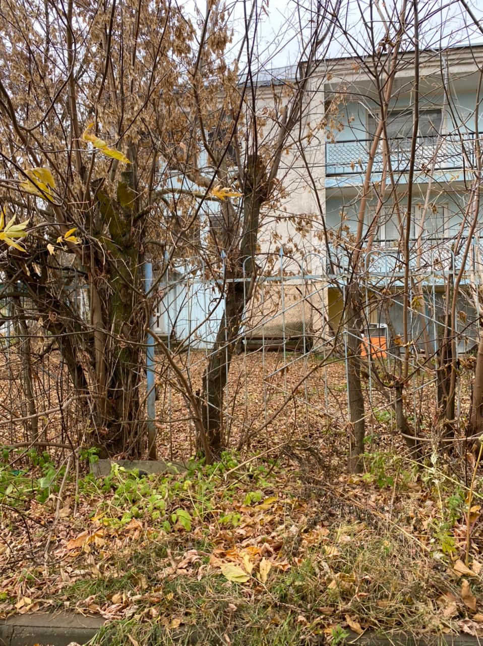 Изображение из списка