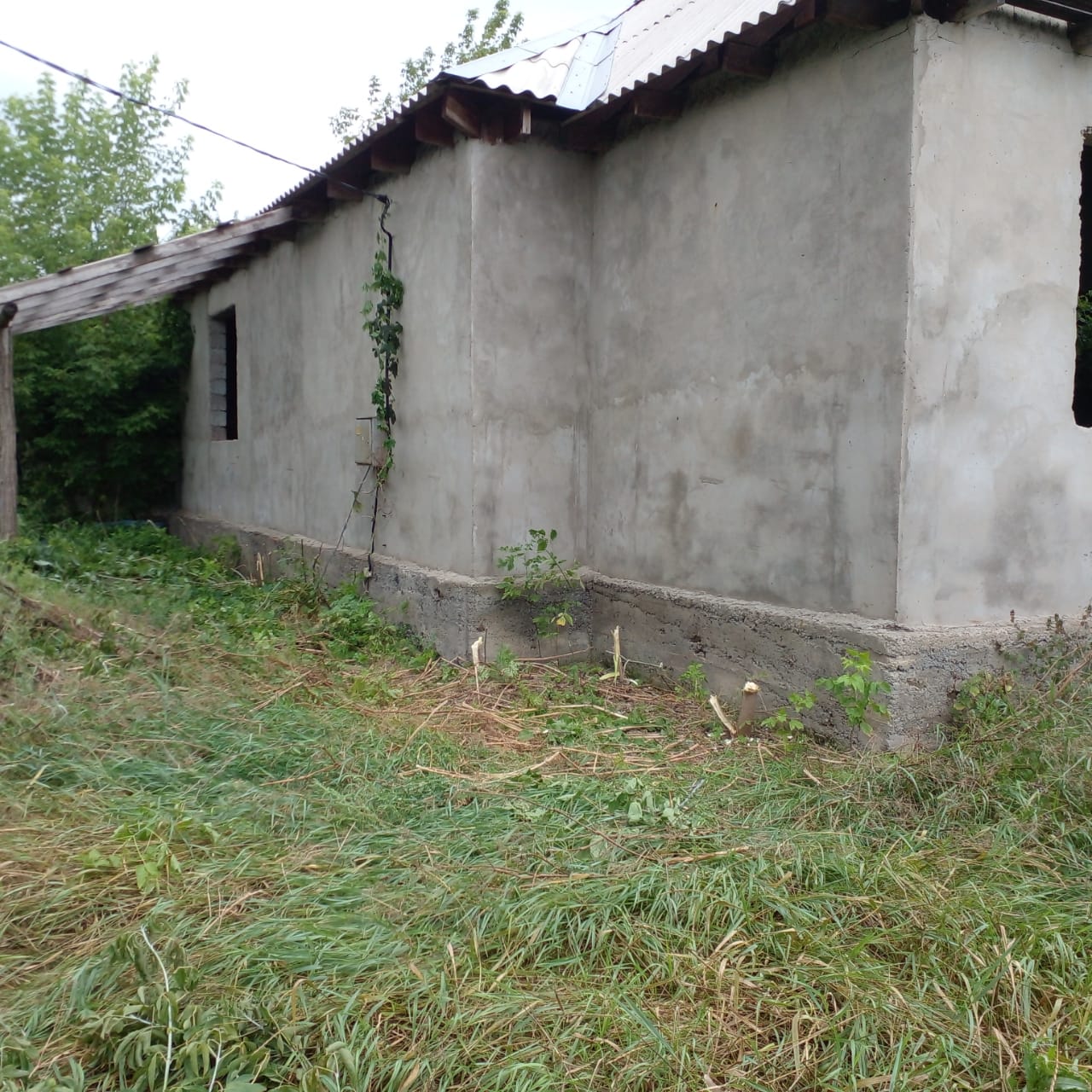 Изображение из списка