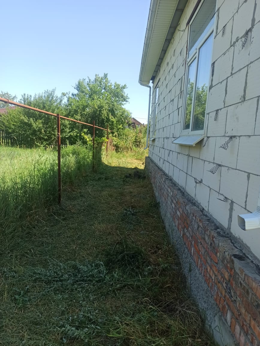 Изображение из списка