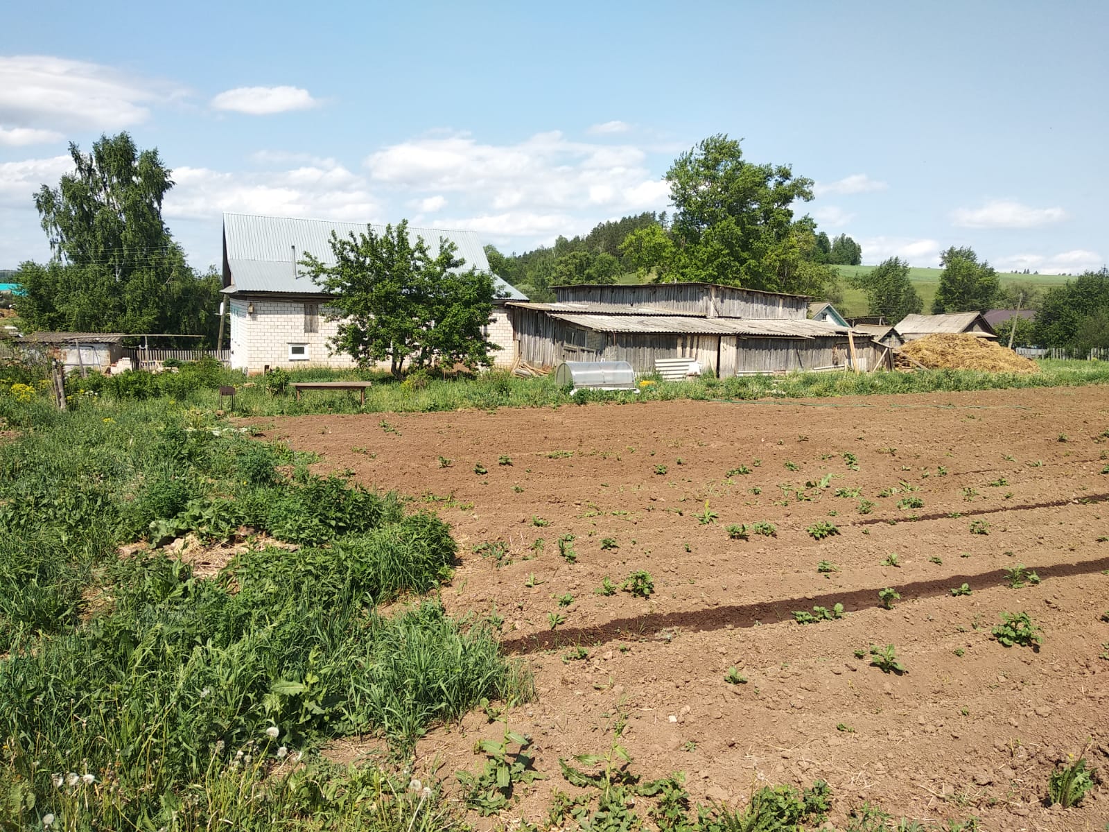 Изображение из списка