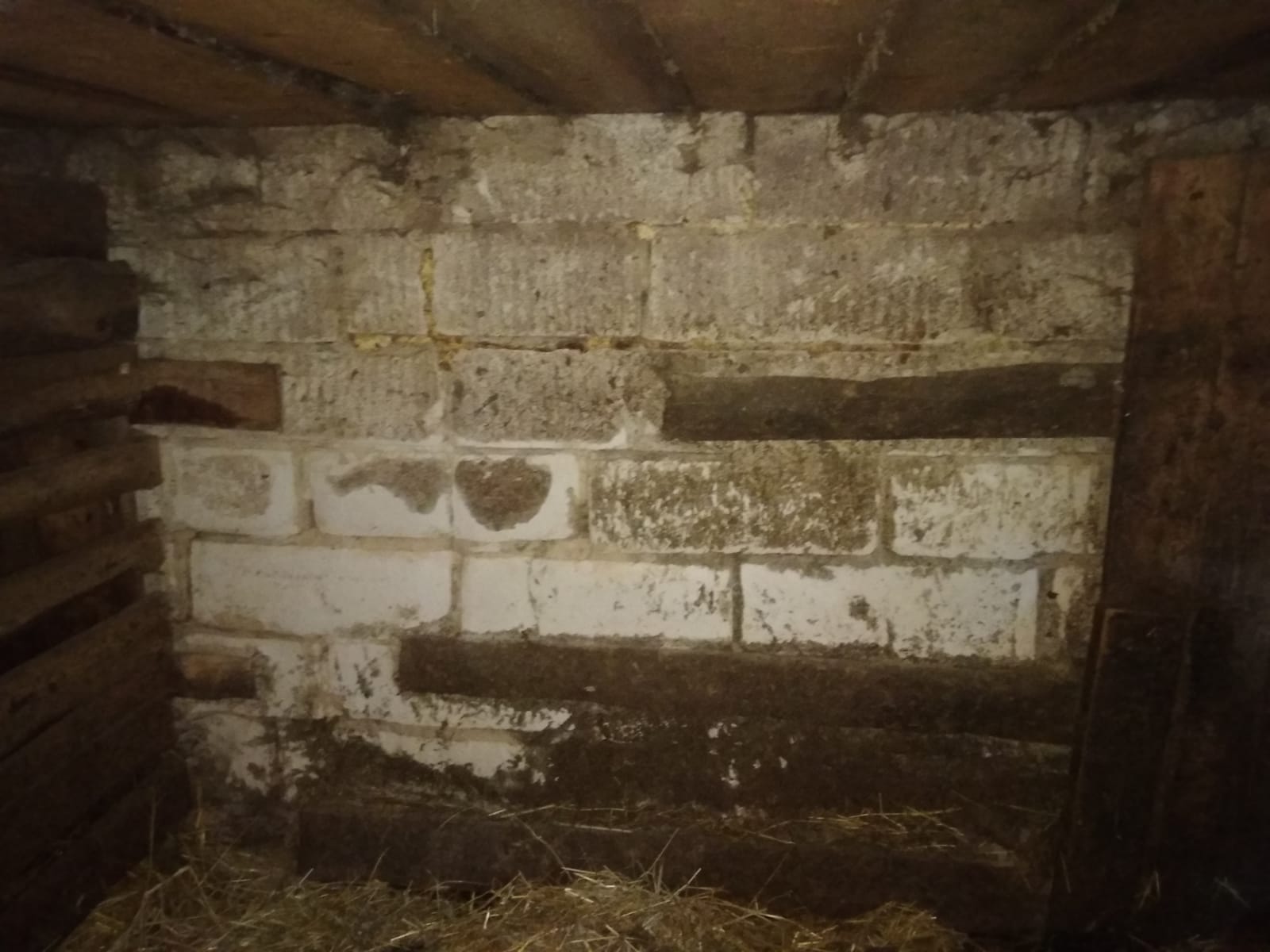 Изображение из списка