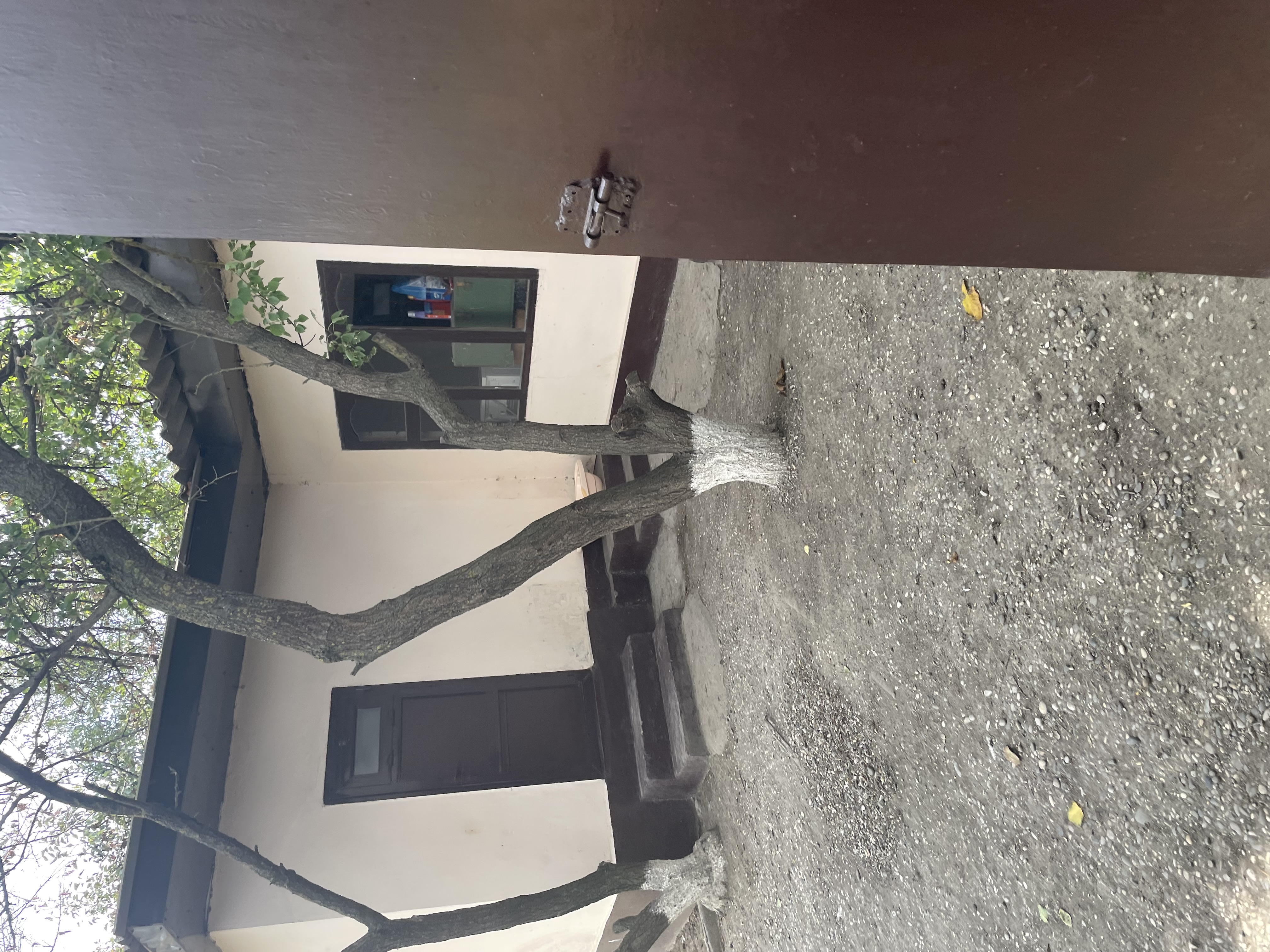 Изображение из списка