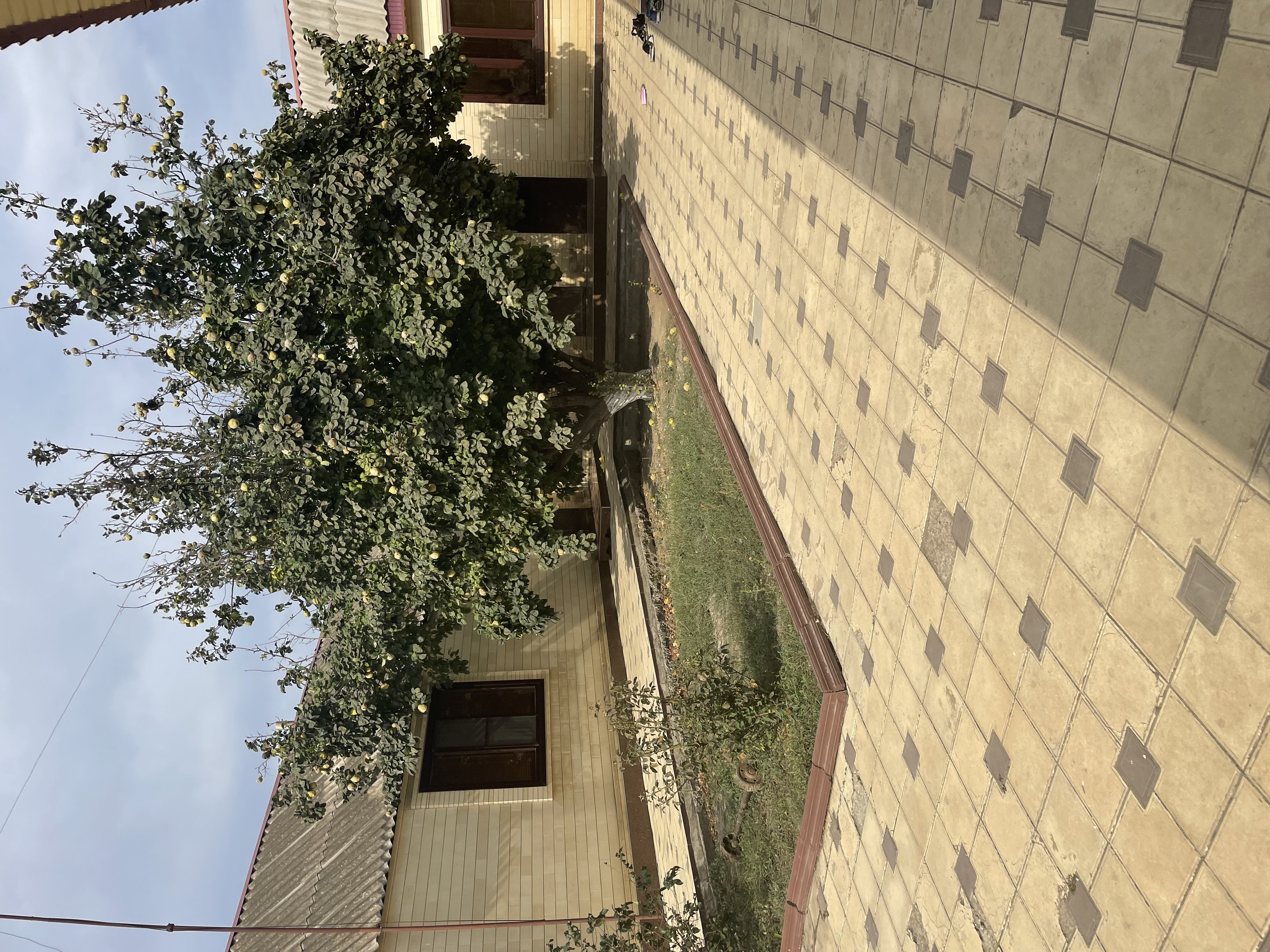 Изображение из списка