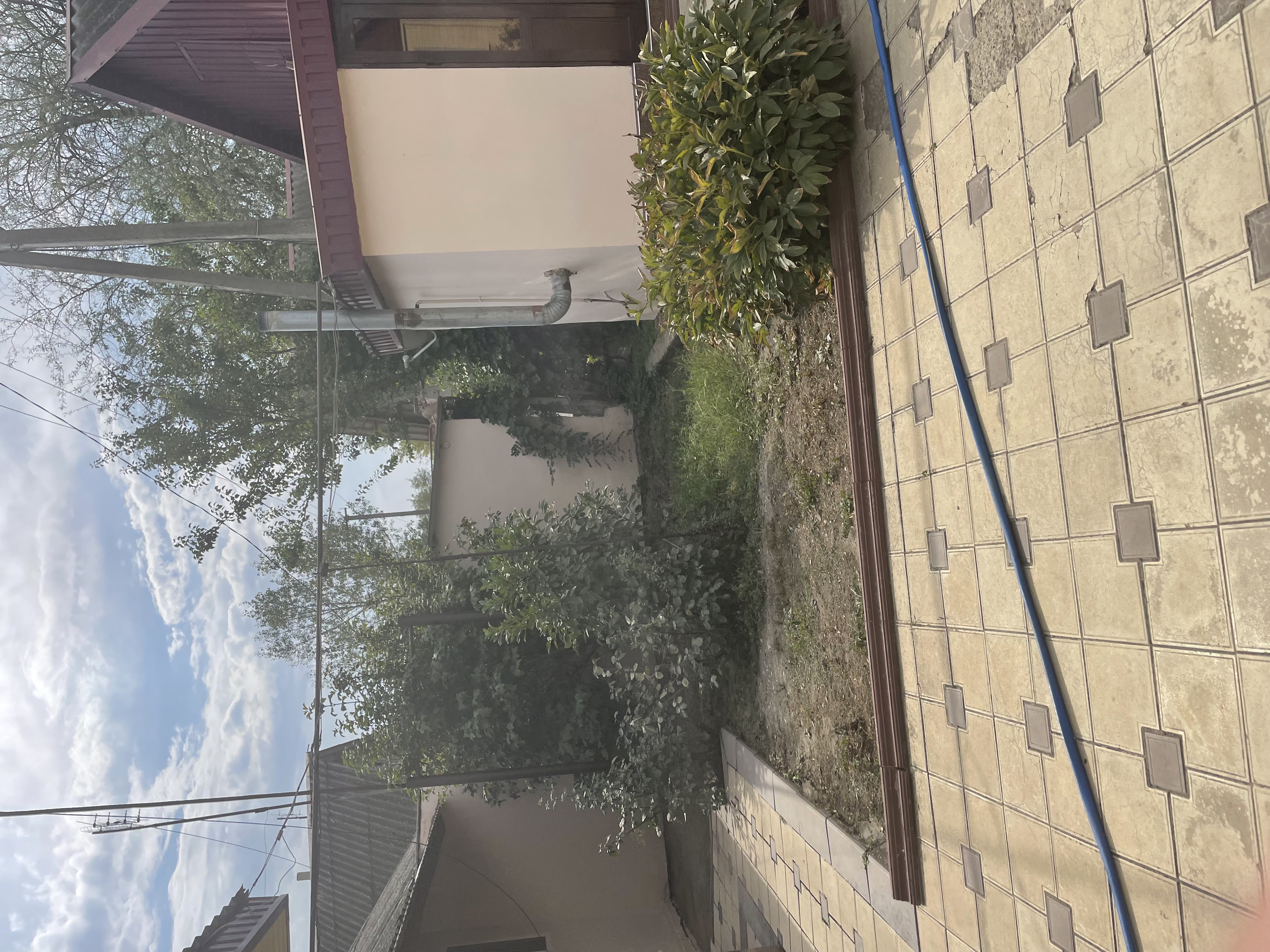 Изображение из списка