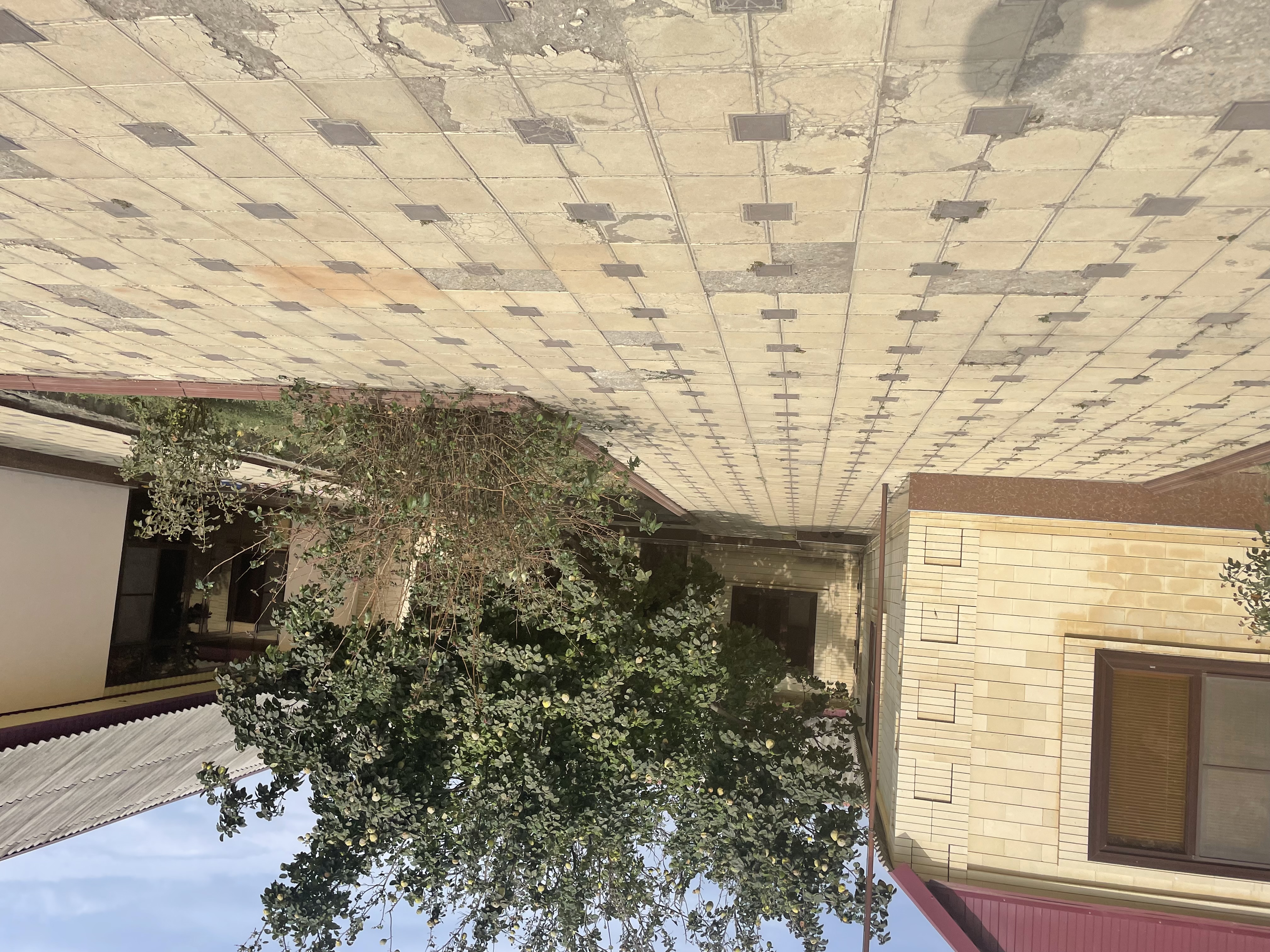 Изображение из списка