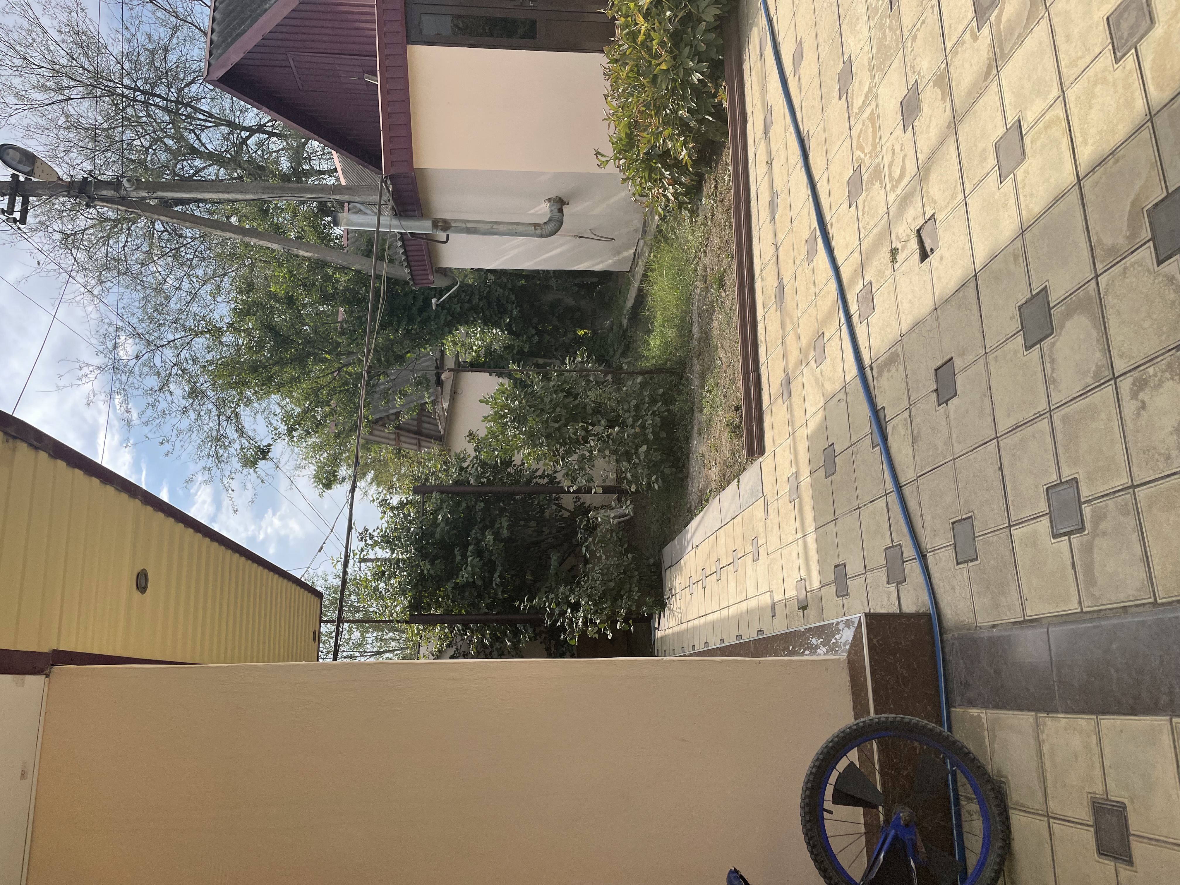 Изображение из списка