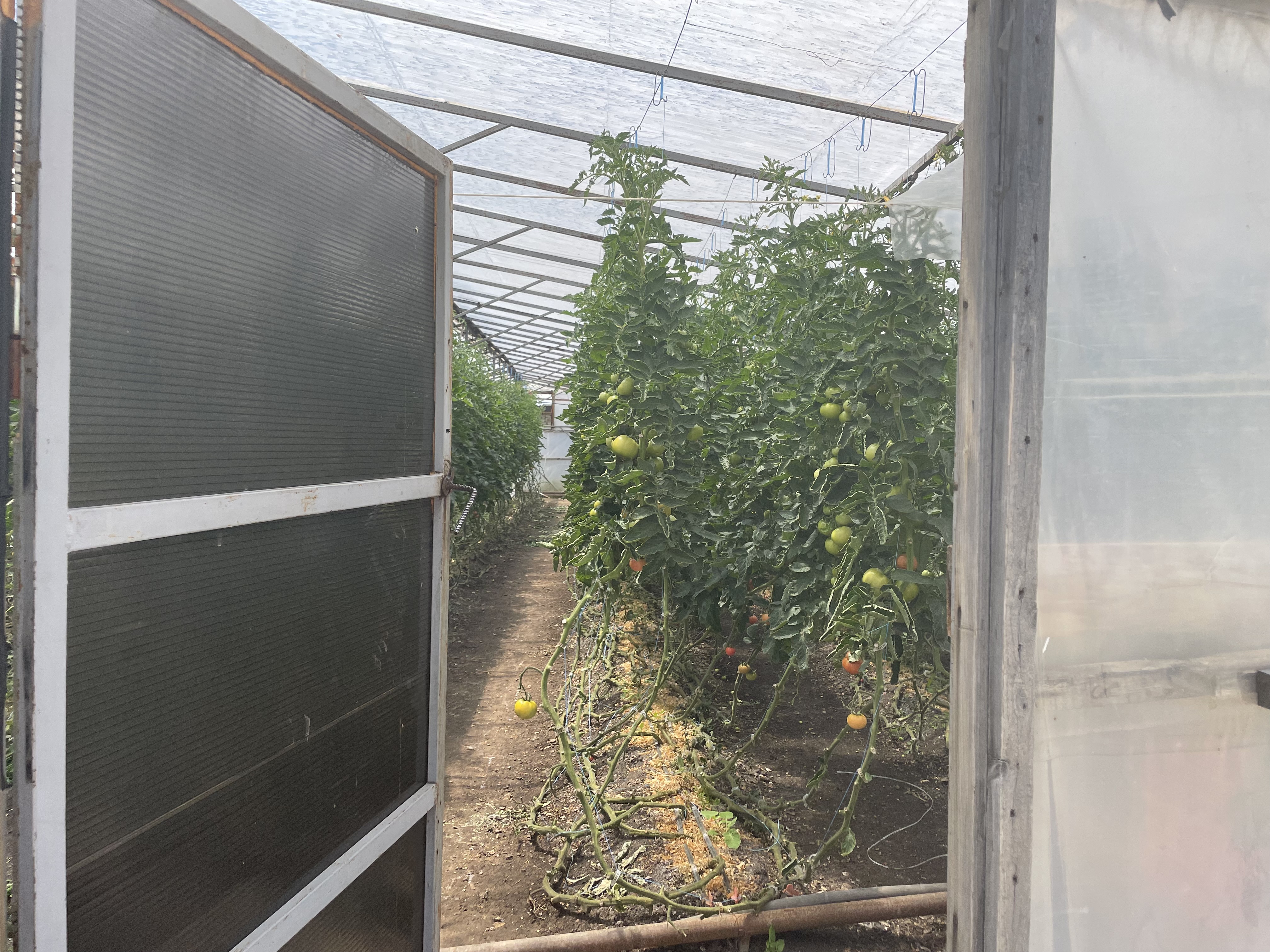 Изображение из списка