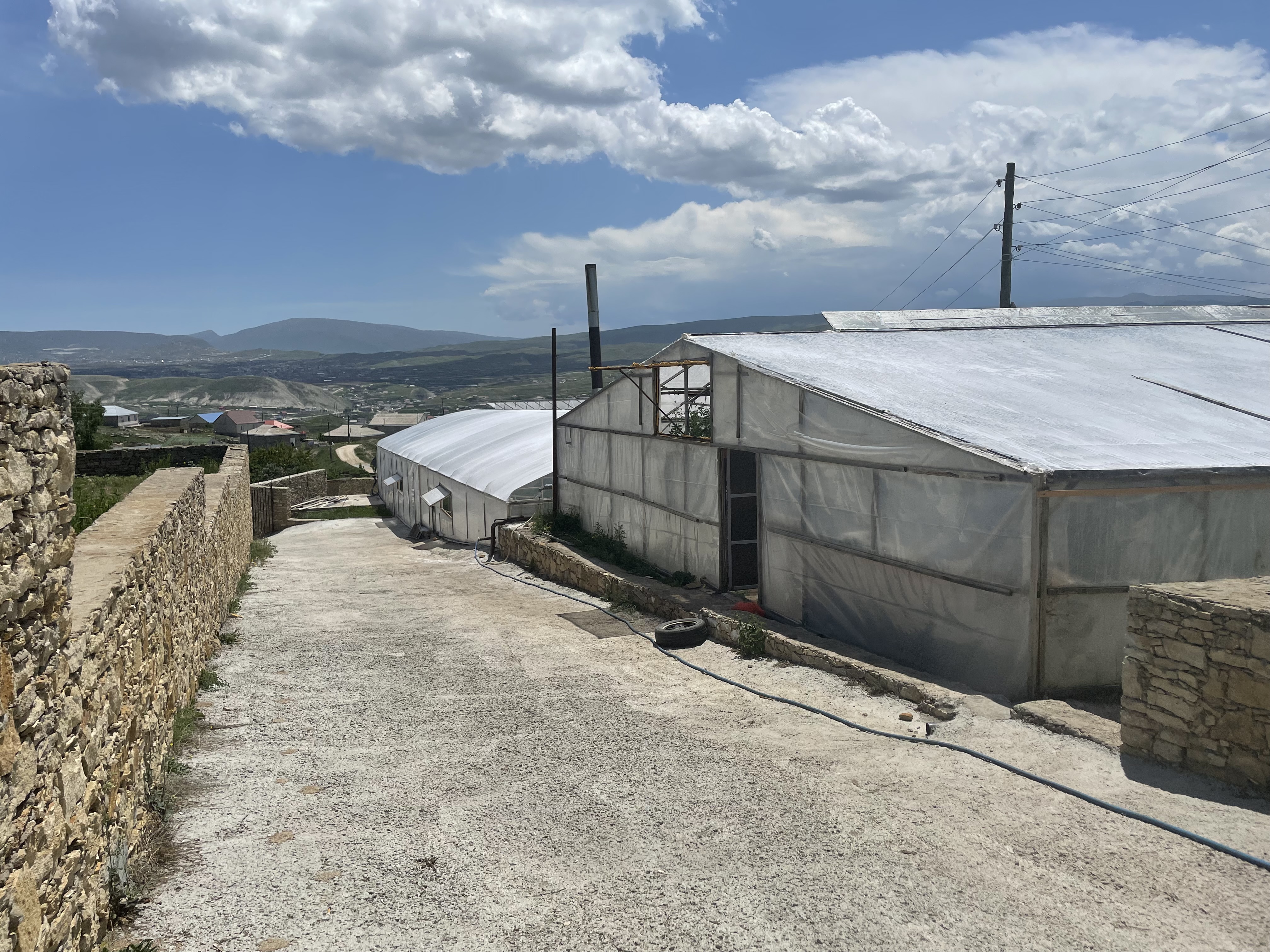 Изображение из списка