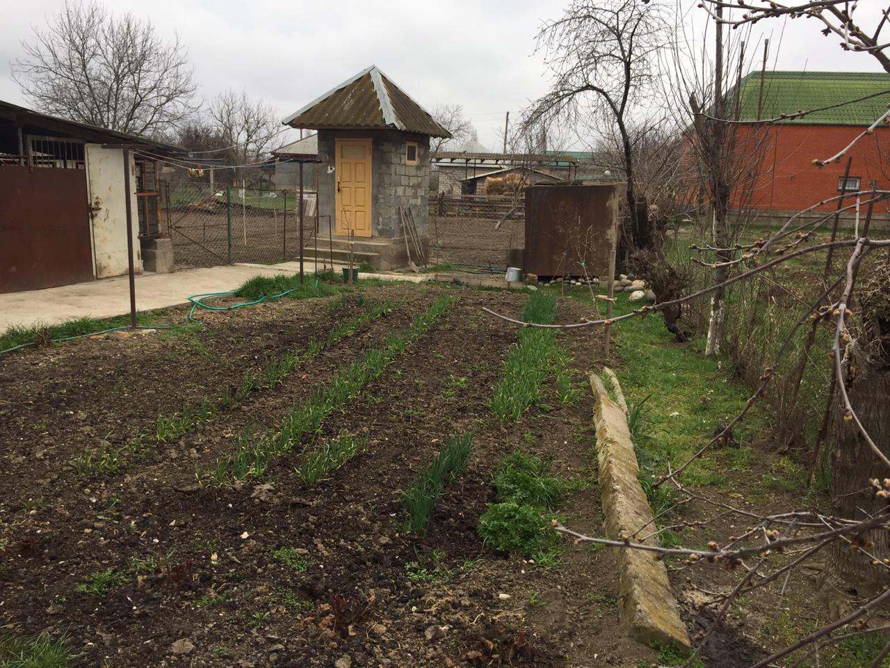 Изображение из списка