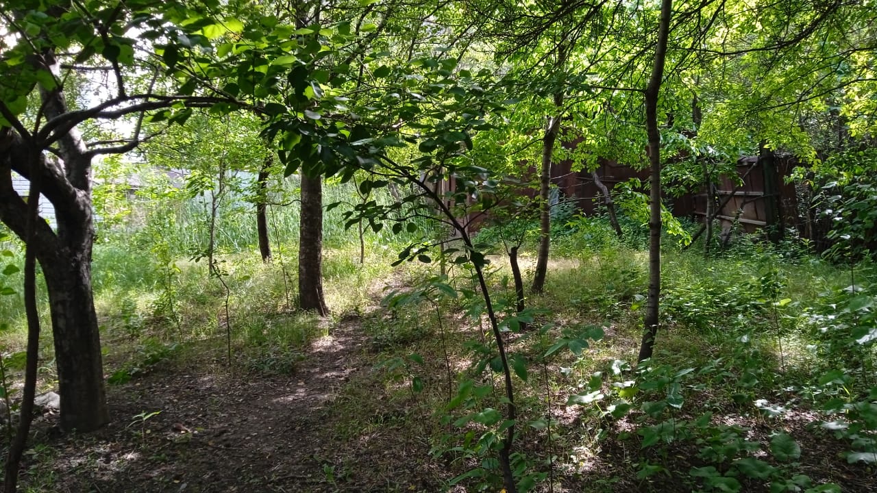 Изображение из списка