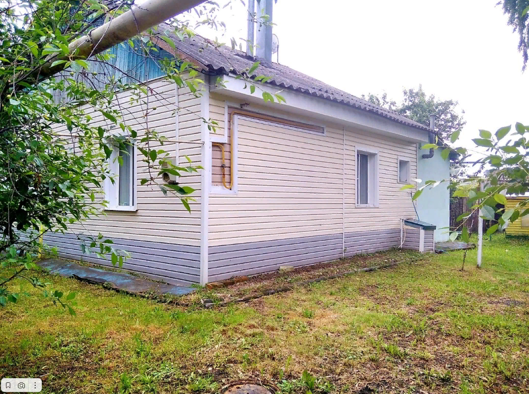 Выбранное изображение