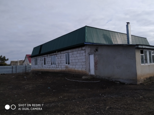 Выбранное изображение