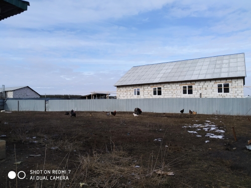 Изображение из списка