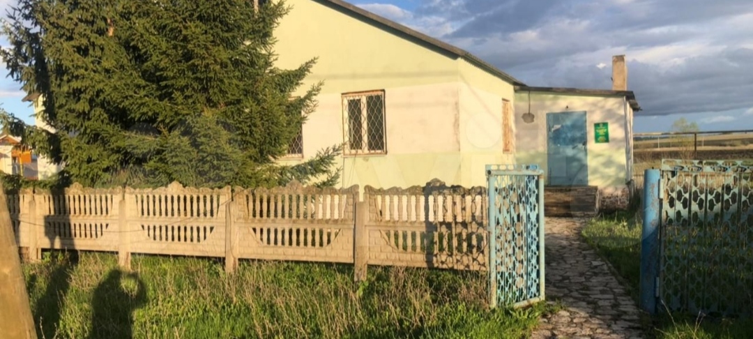 Выбранное изображение