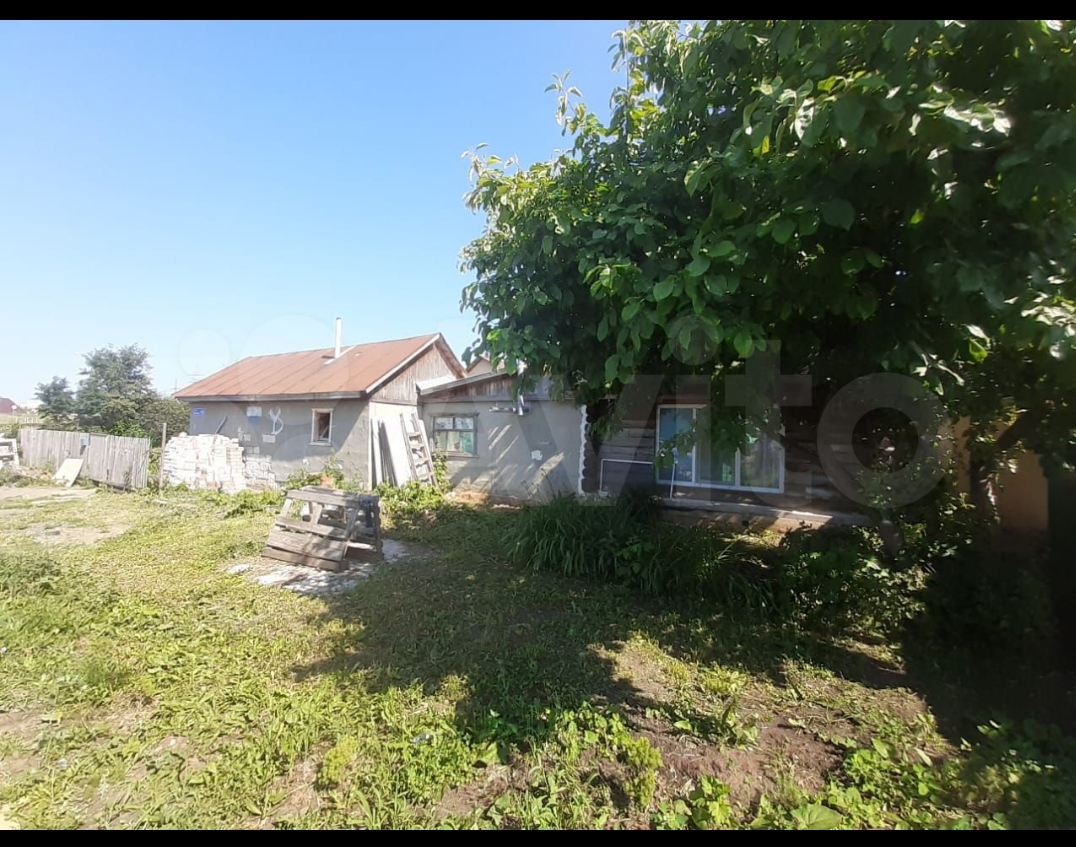 Выбранное изображение