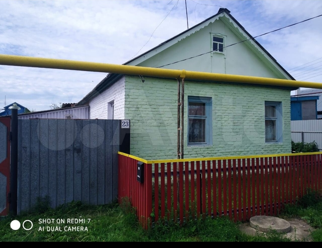 Выбранное изображение