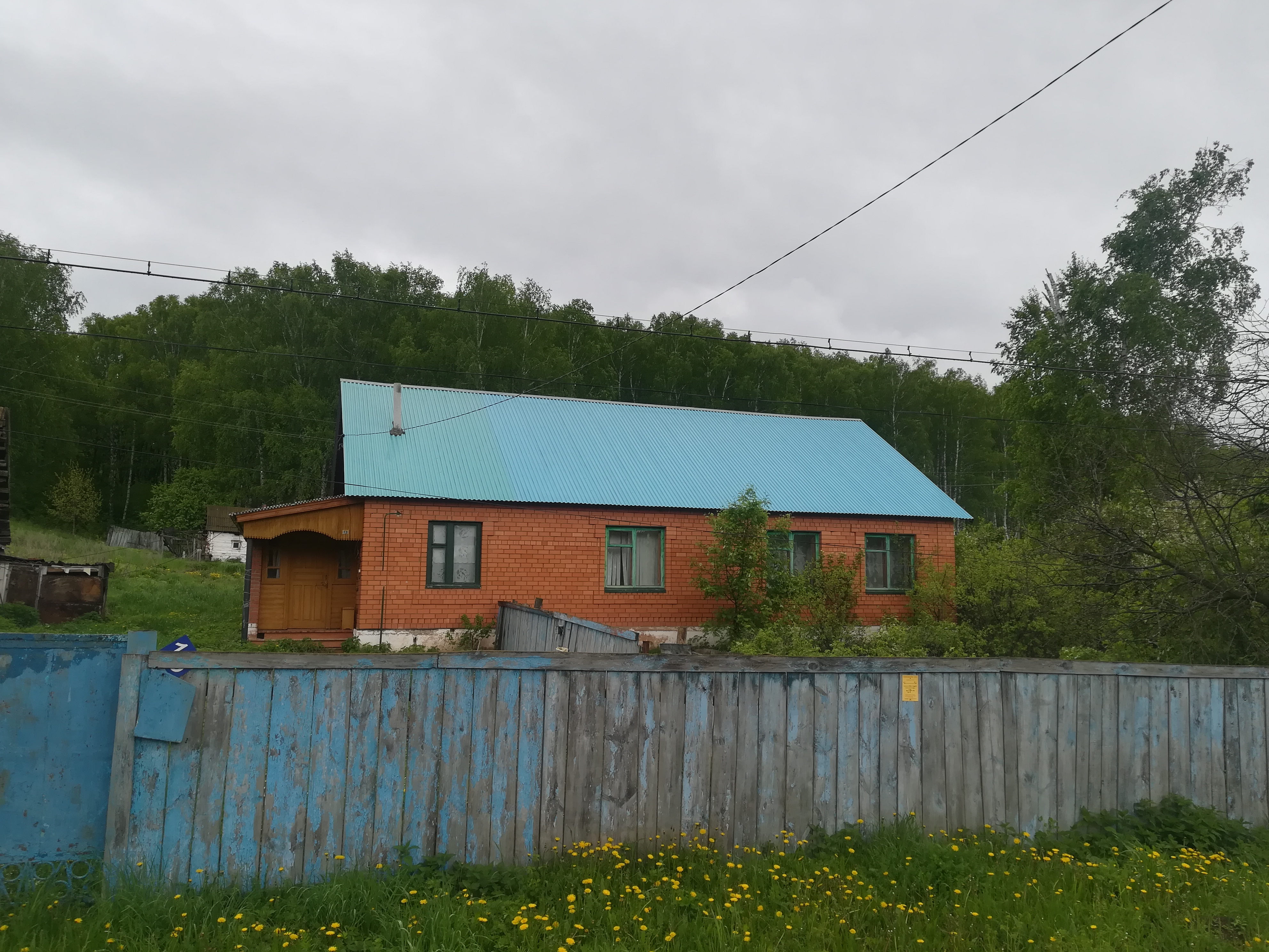 Выбранное изображение