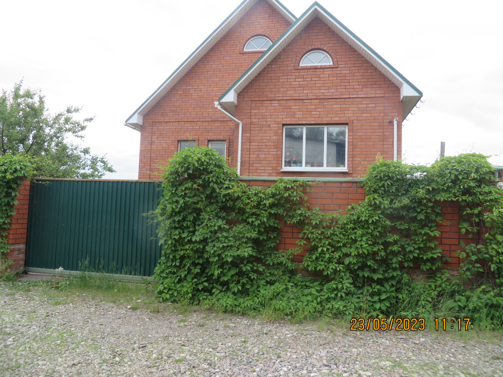 Выбранное изображение