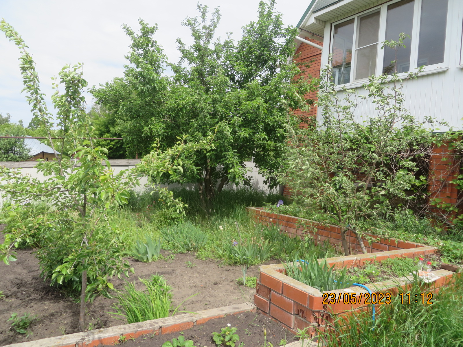 Изображение из списка