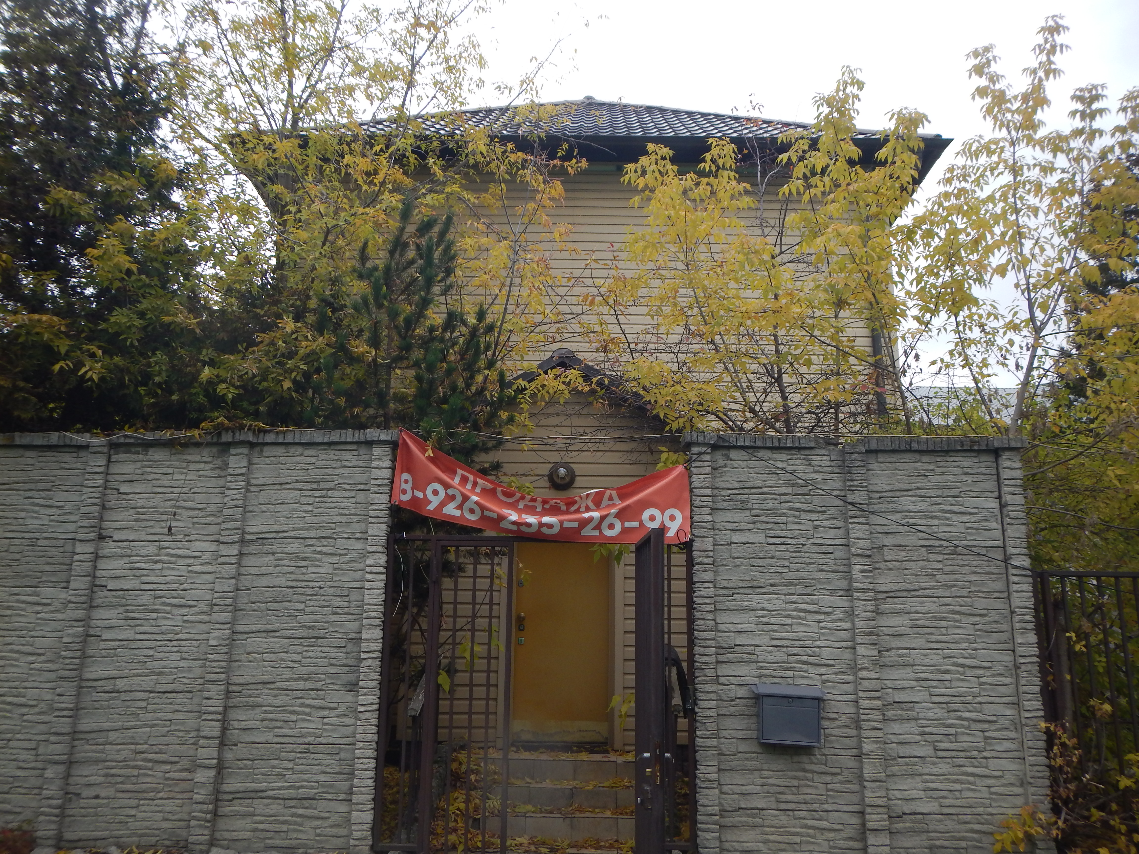 Выбранное изображение