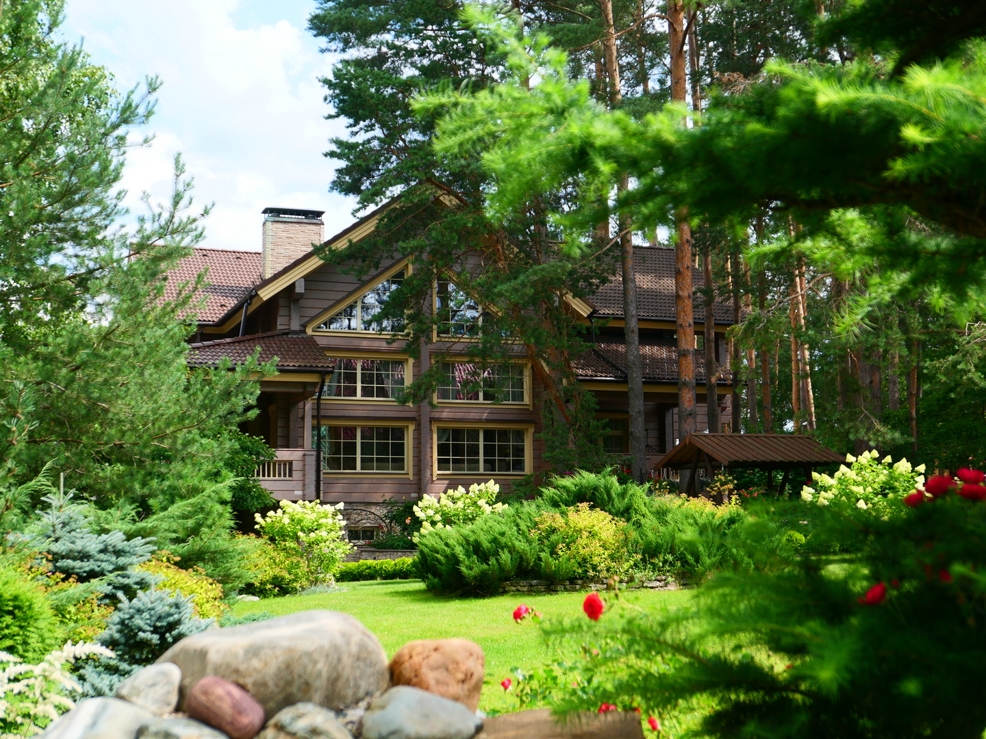 Проект Владимир