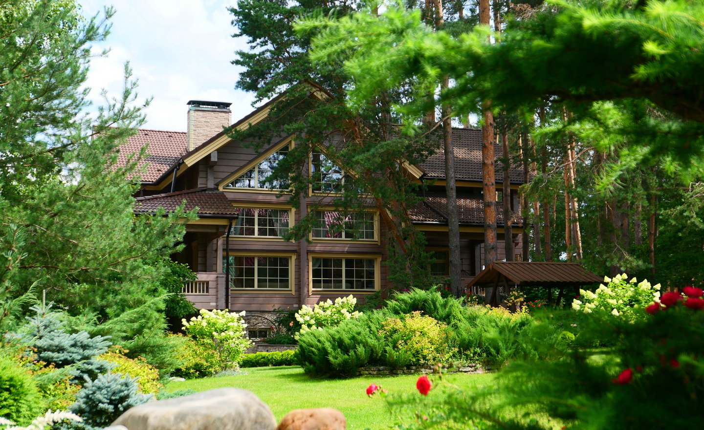 Проект Владимир