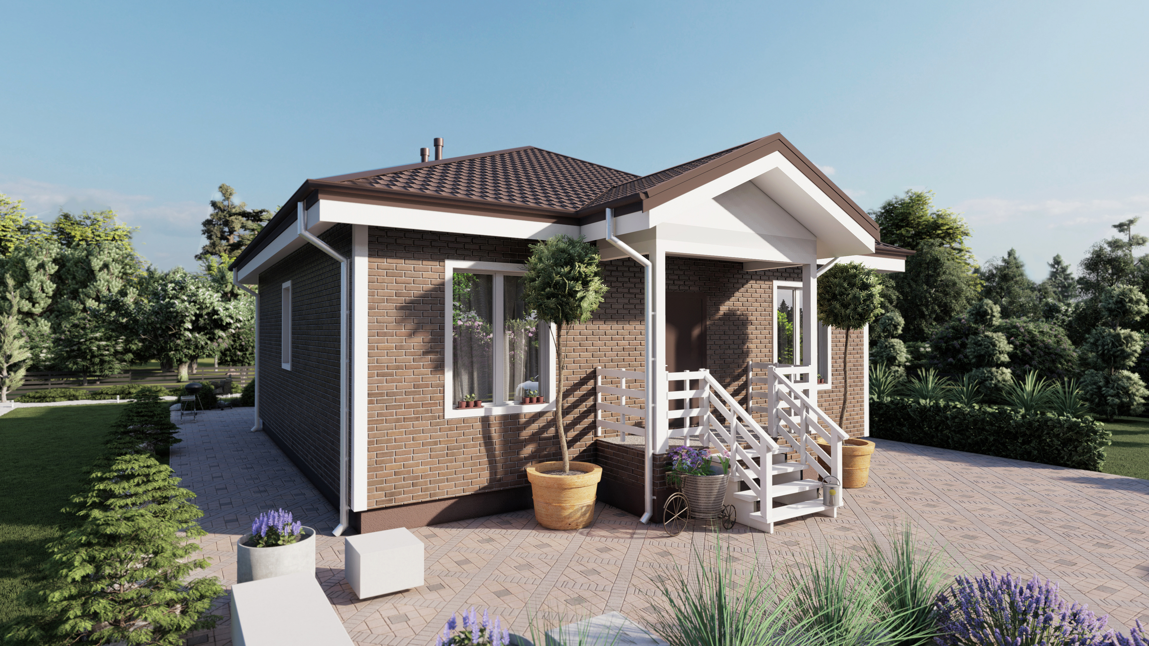 Проект Модест, изображение-2