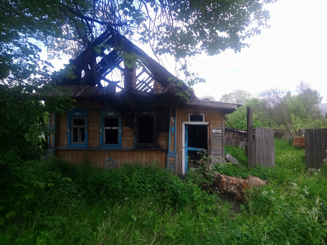 Выбранное изображение