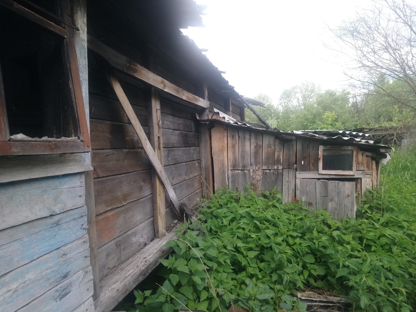 Изображение из списка