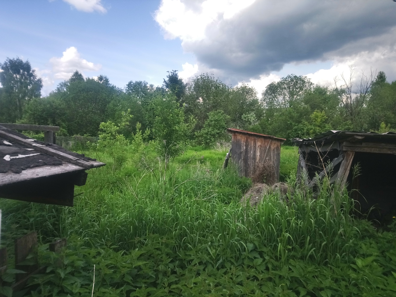 Изображение из списка