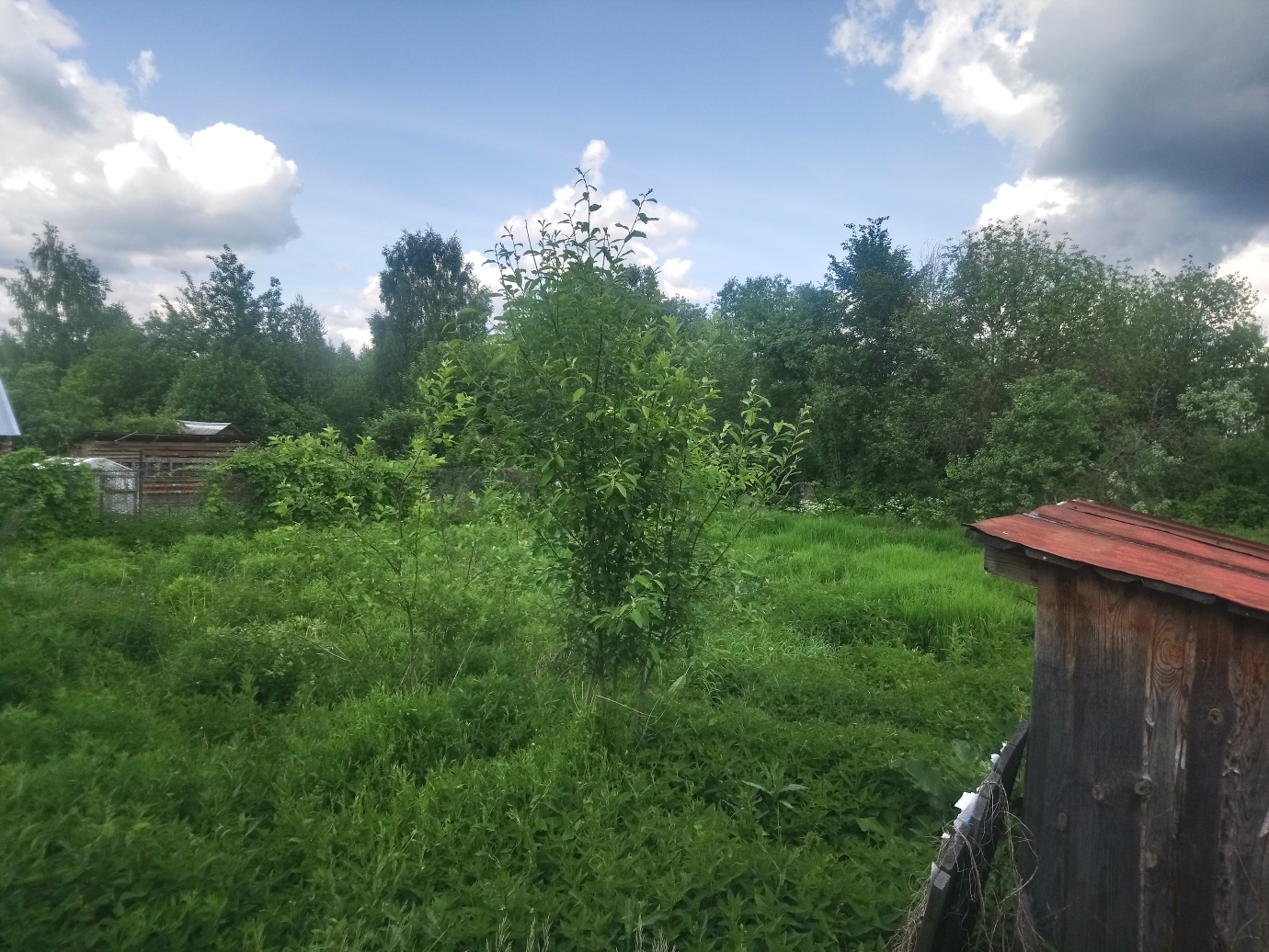 Изображение из списка