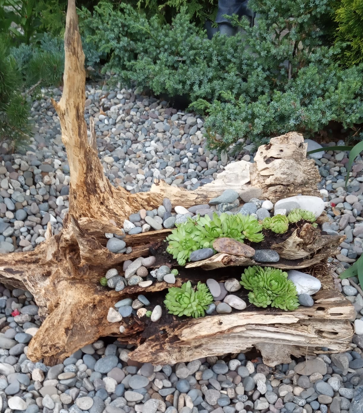 Ландшафтный дизайн