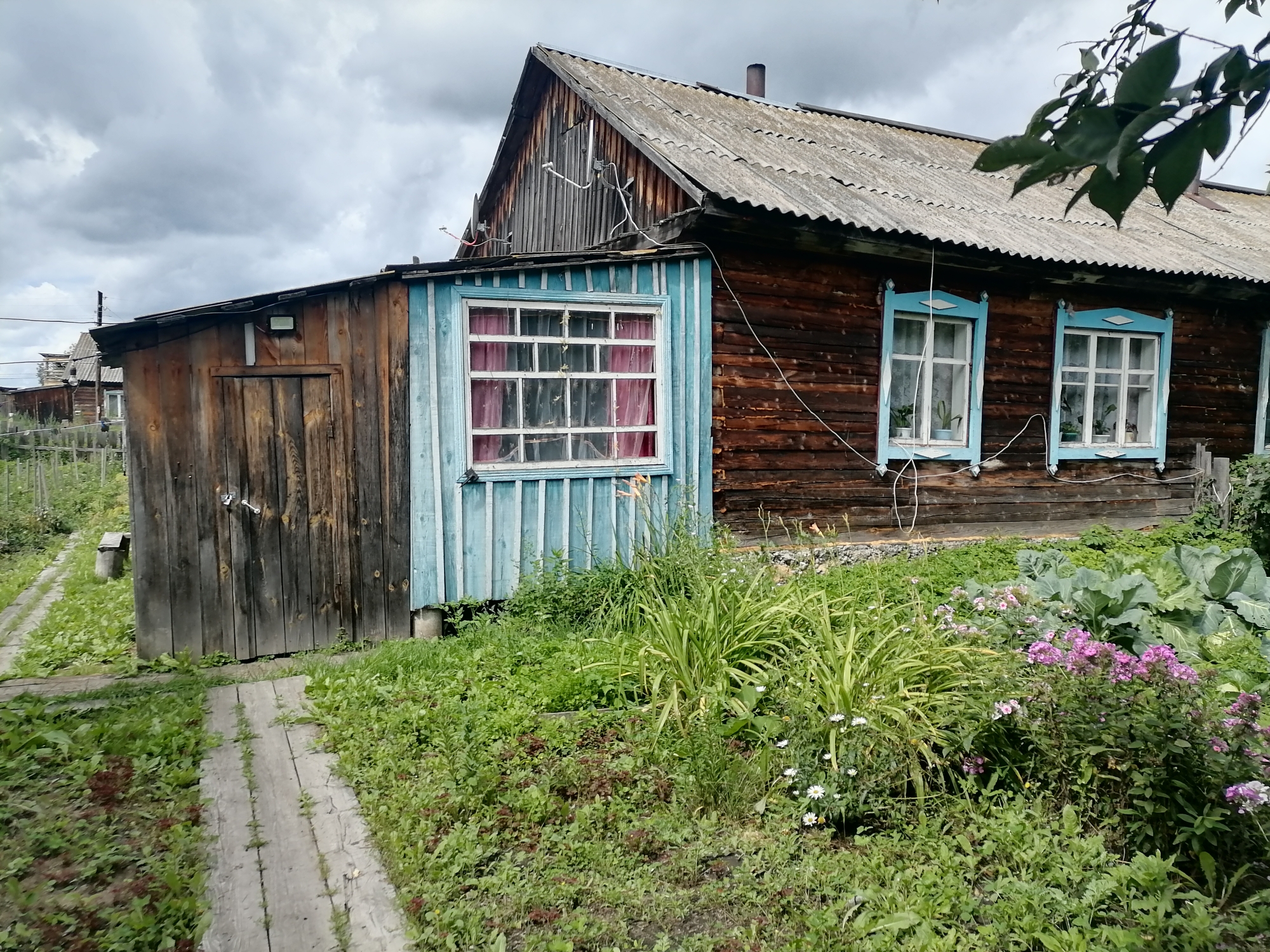 Выбранное изображение