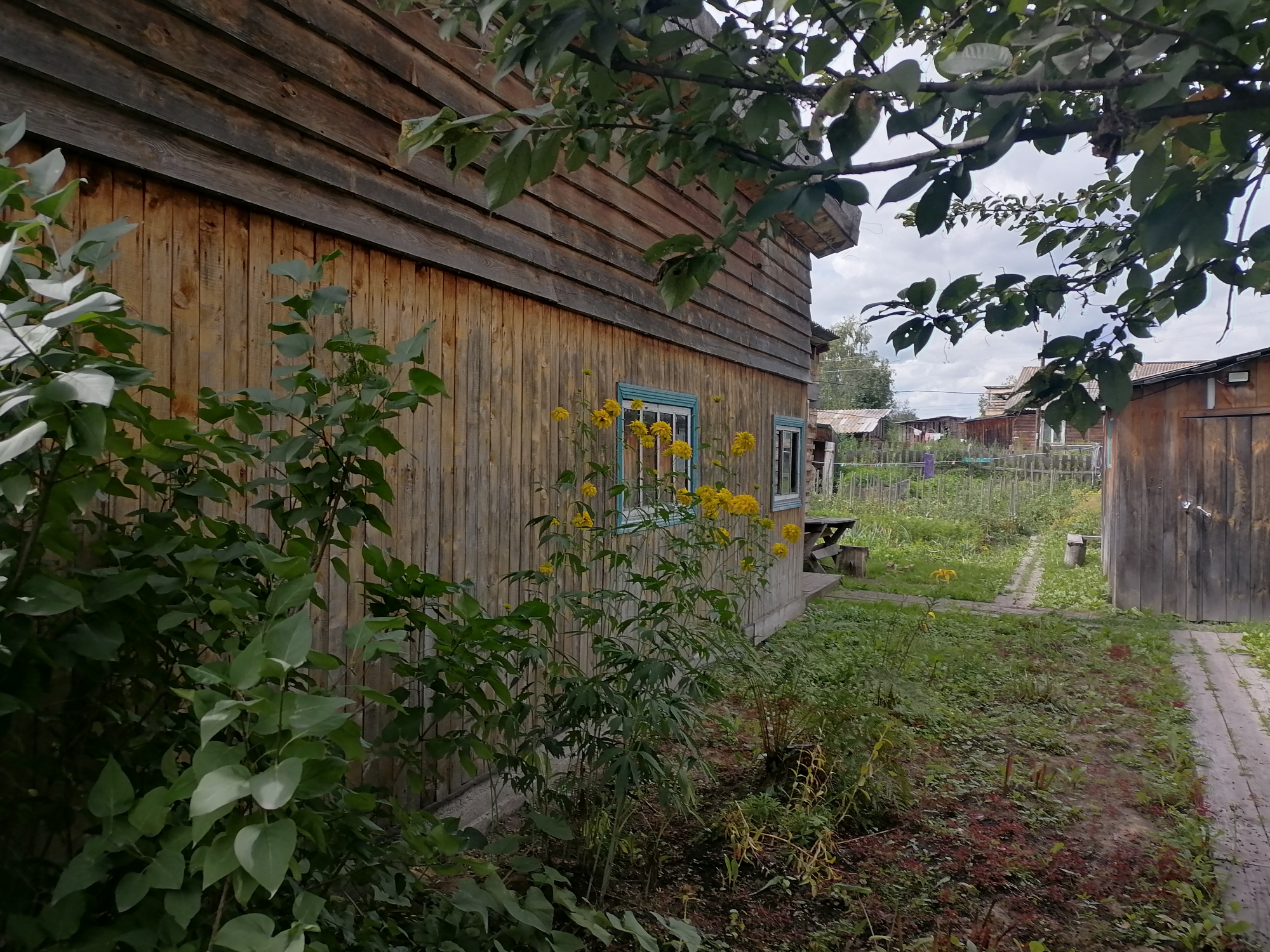 Изображение из списка